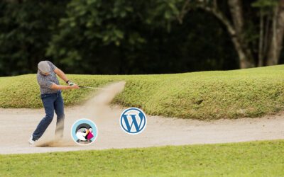 Faut-il migrer son site soi-même ou confier la migration à son Hébergeur Web ?