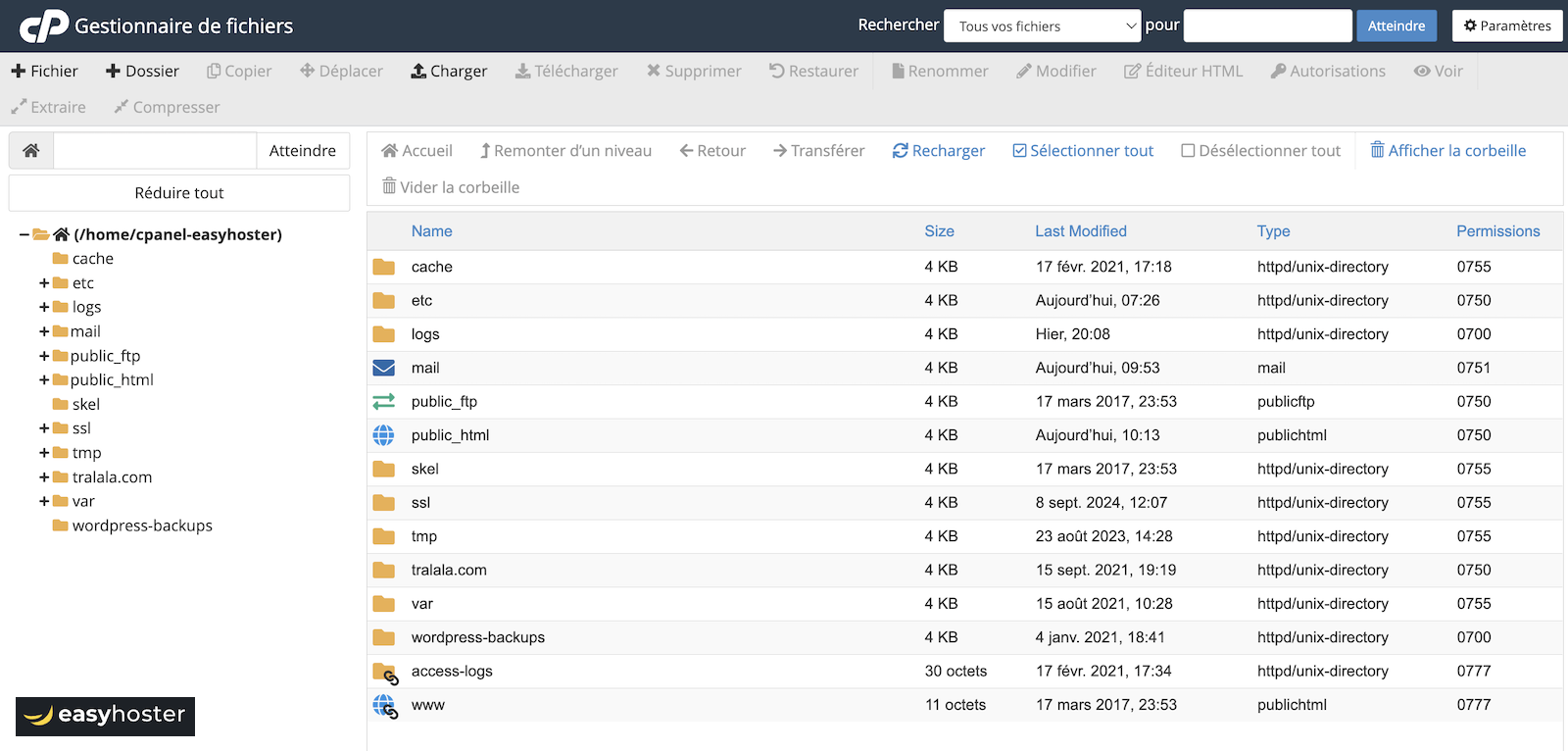 File Manager of cPanel.